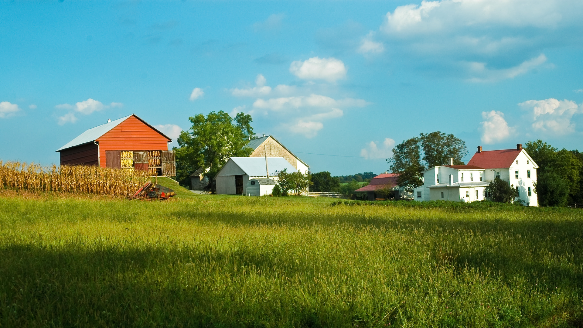 The Essential Florida Homestead Exemption Our Homes